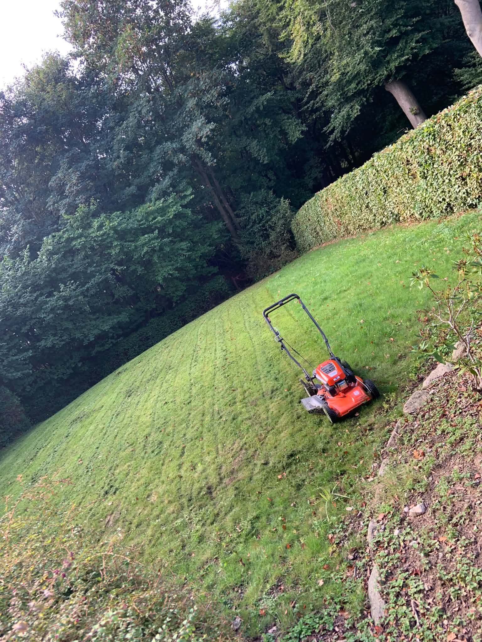 Græsslåning